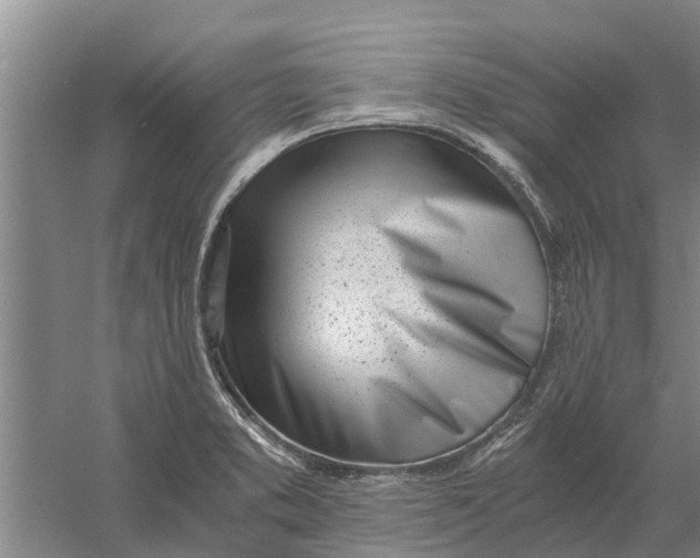 X0000056361373200509232120