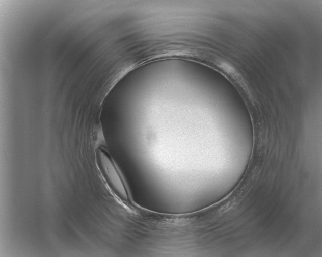 X0000056361377200509232120