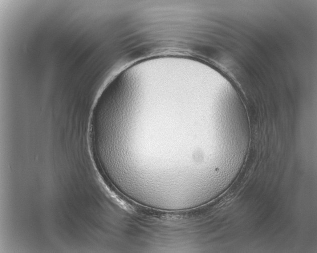 X0000056361379200509232120