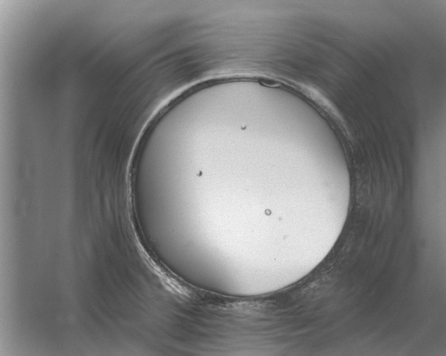 X0000056361380200509232120