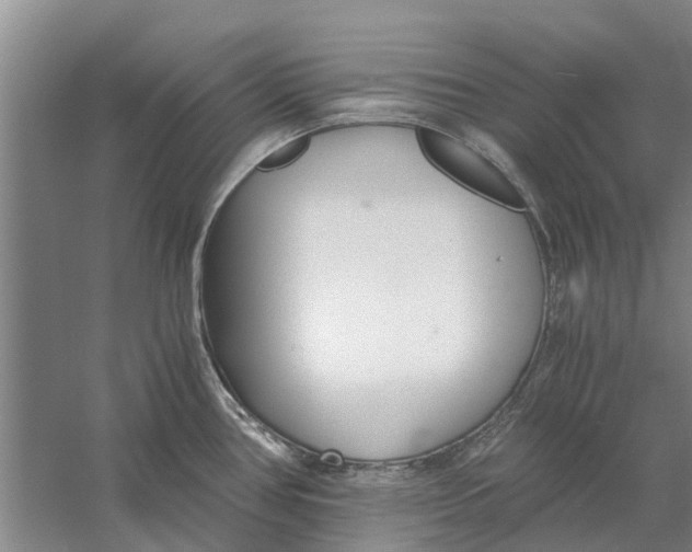 X0000056361386200509232120