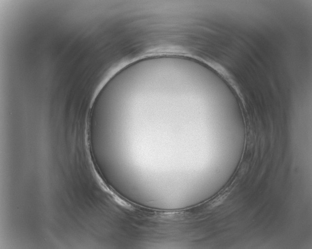 X0000056361390200509232120