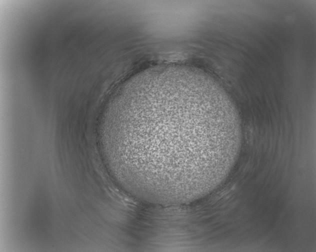 X0000056361393200509232119