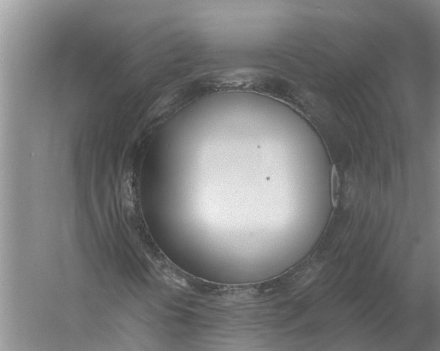 X0000056361394200509232119