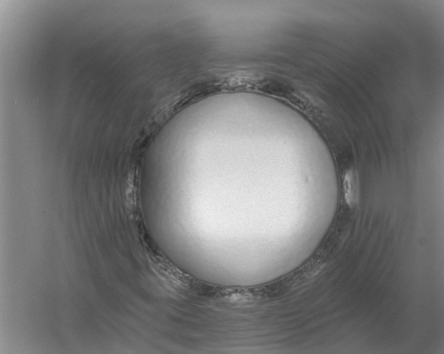 X0000056361395200509232119