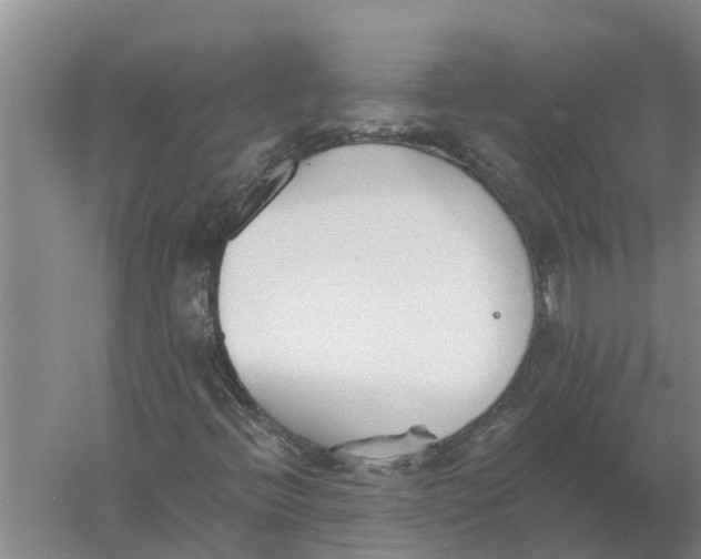 X0000056361396200509232119