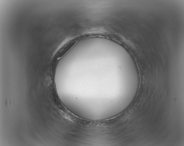 X0000056361400200509232119