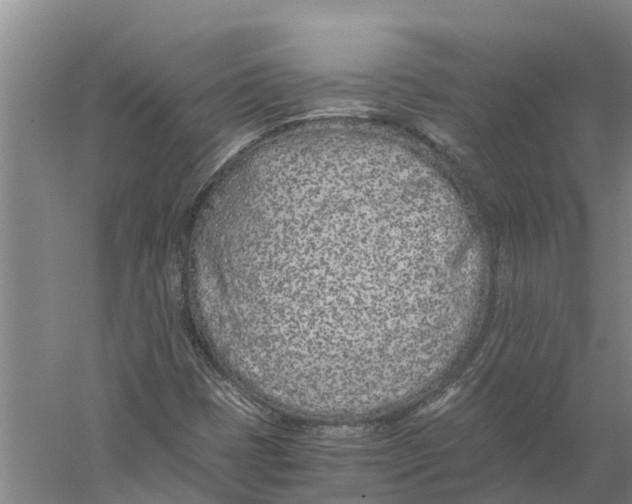 X0000056361401200509232119