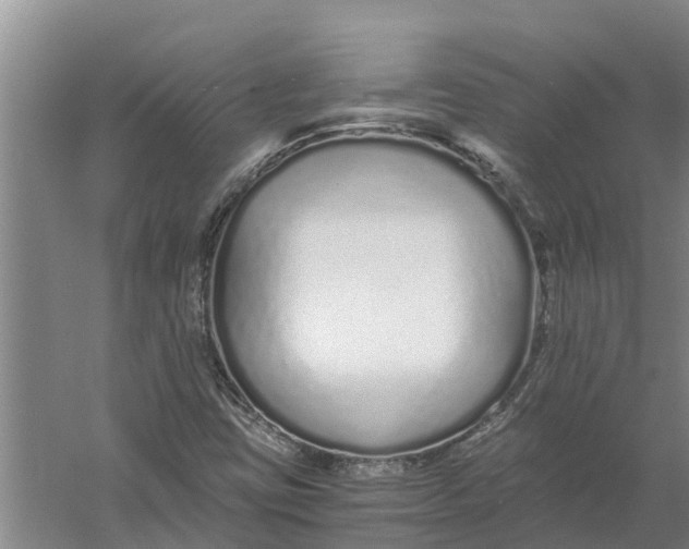 X0000056361403200509232119