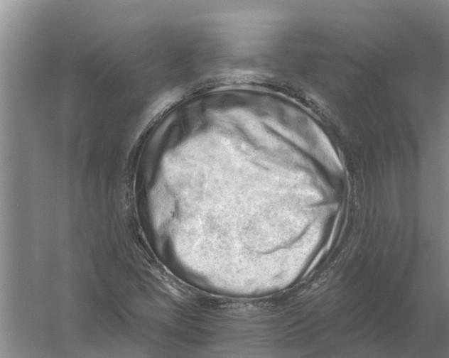 X0000056361405200509232119