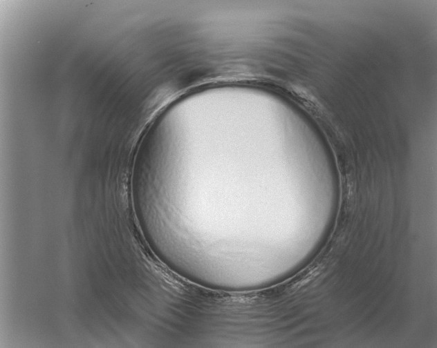 X0000056361409200509232119