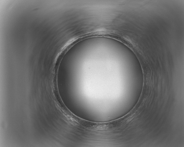 X0000056361410200509232119