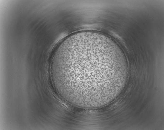 X0000056361411200509232119