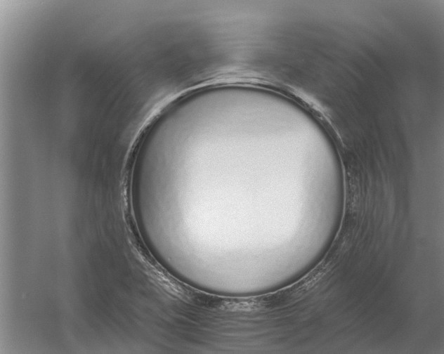 X0000056361415200509232119