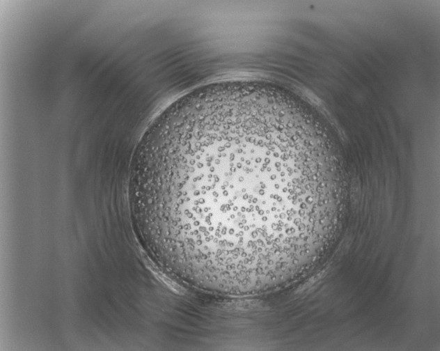 X0000056361417200509232119