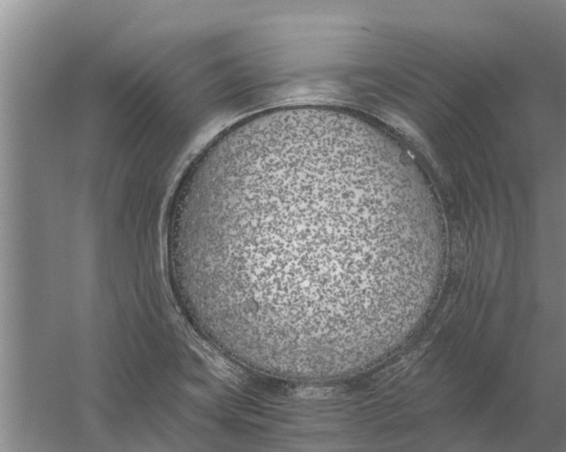 X0000056361419200509232120