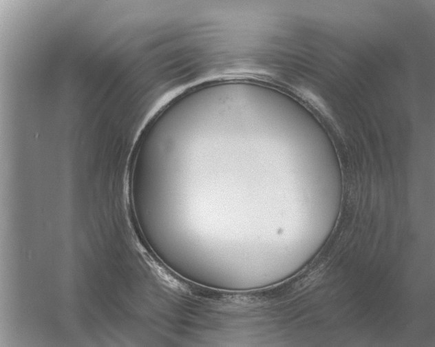 X0000056361420200509232120