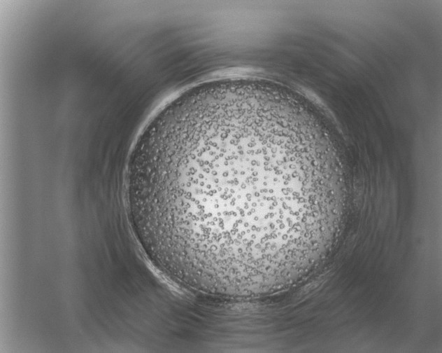 X0000056361421200509232120