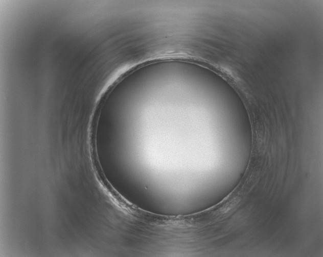 X0000056361422200509232120