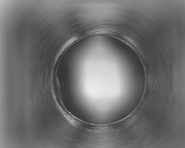 X0000056361426200509232120