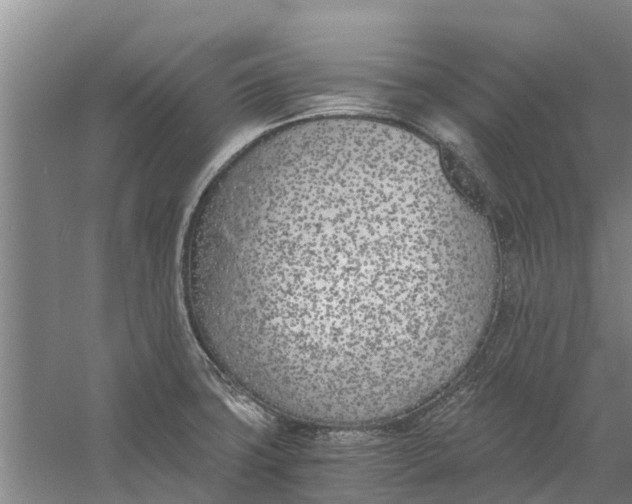 X0000056361427200509232120