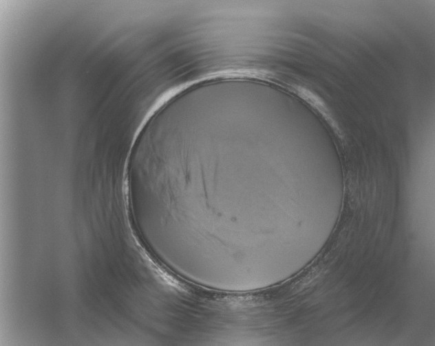 X0000056361428200509232120