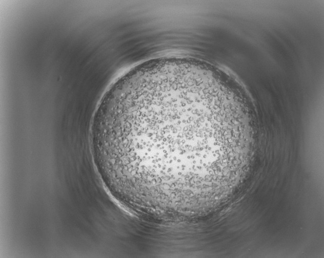 X0000056361429200509232120