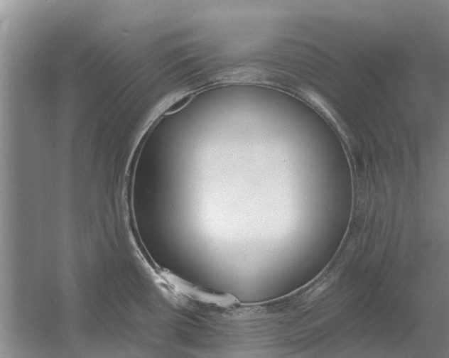 X0000056361434200509232120