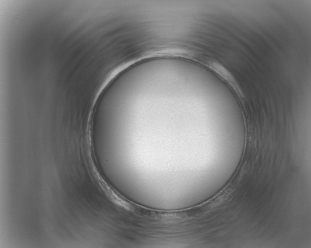 X0000056361436200509232120