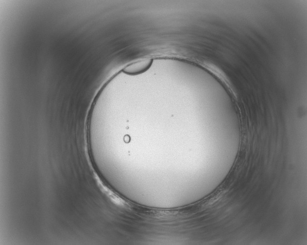 X0000056361439200509232120