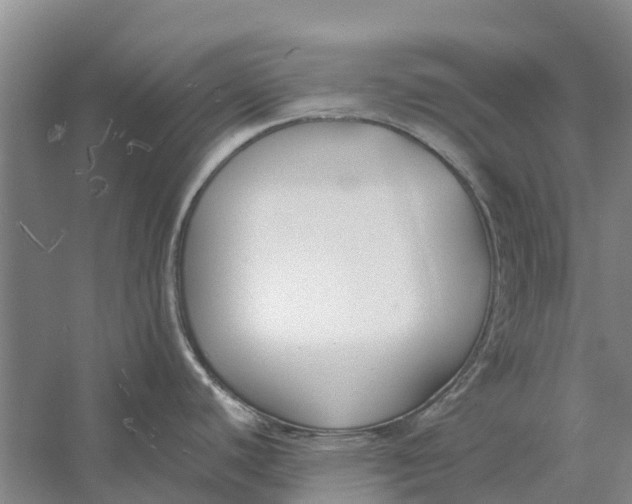 X0000056361440200509232120