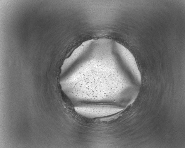 X0000056361441200509232119