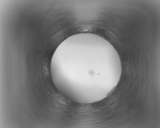 X0000056361442200509232119