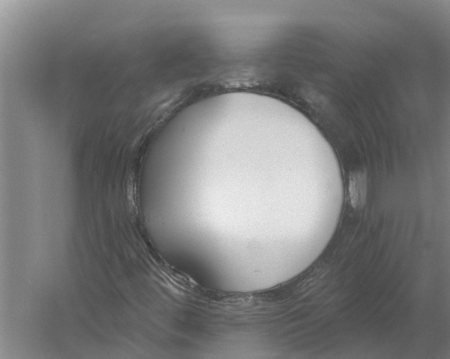 X0000056361444200509232119