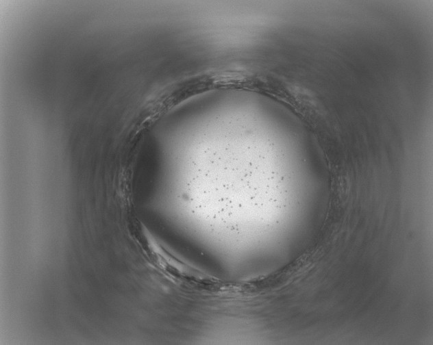 X0000056361445200509232119