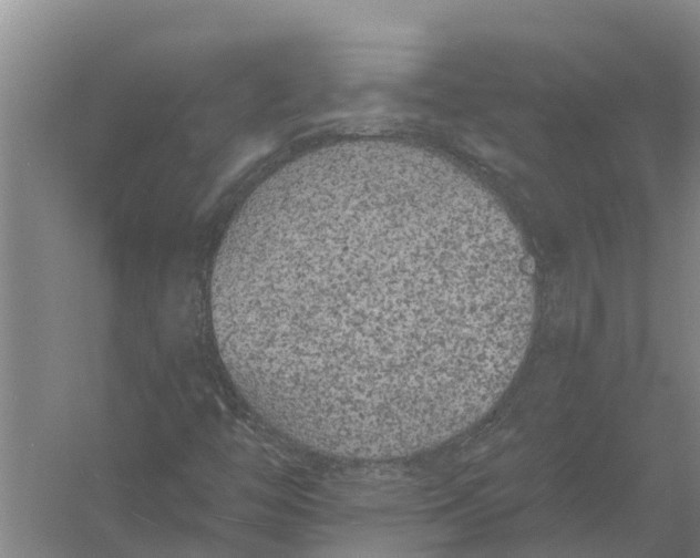 X0000056361446200509232119