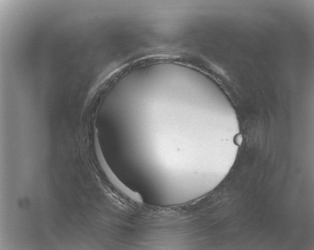 X0000056361448200509232119