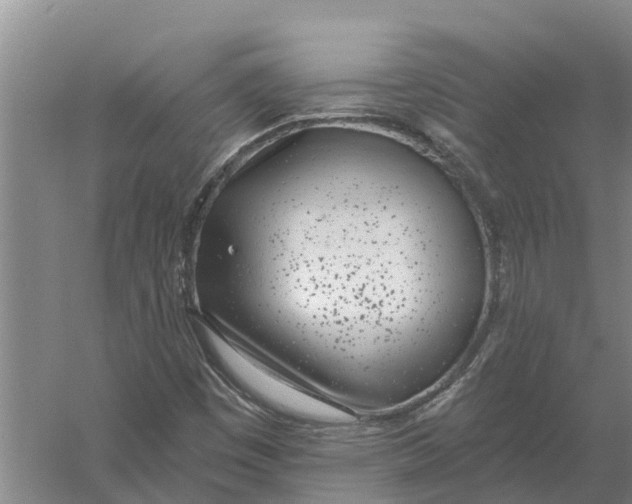 X0000056361449200509232119