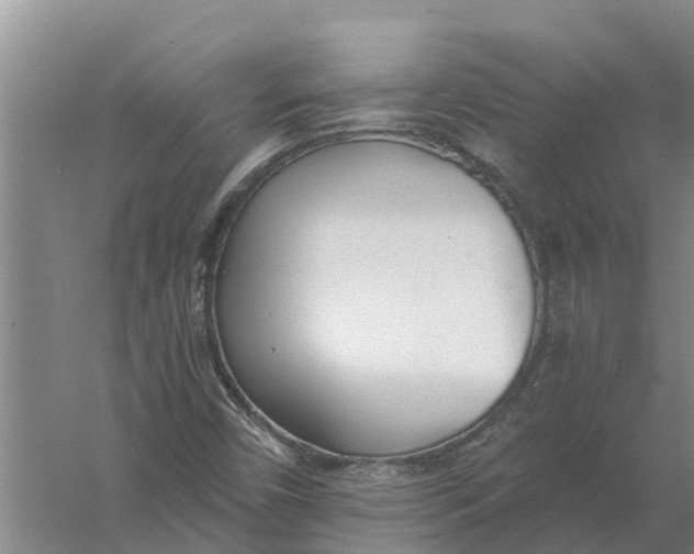 X0000056361450200509232119