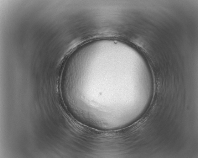 X0000056361451200509232119