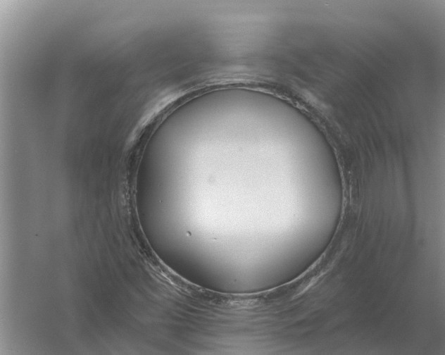 X0000056361453200509232119