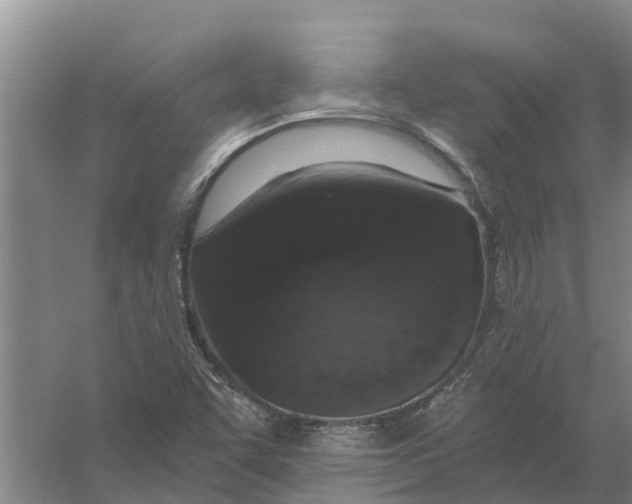 X0000056361455200509232119