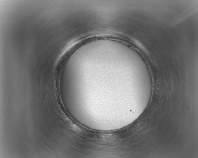 X0000056361456200509232119