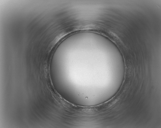 X0000056361457200509232119