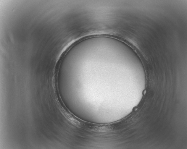 X0000056361460200509232119