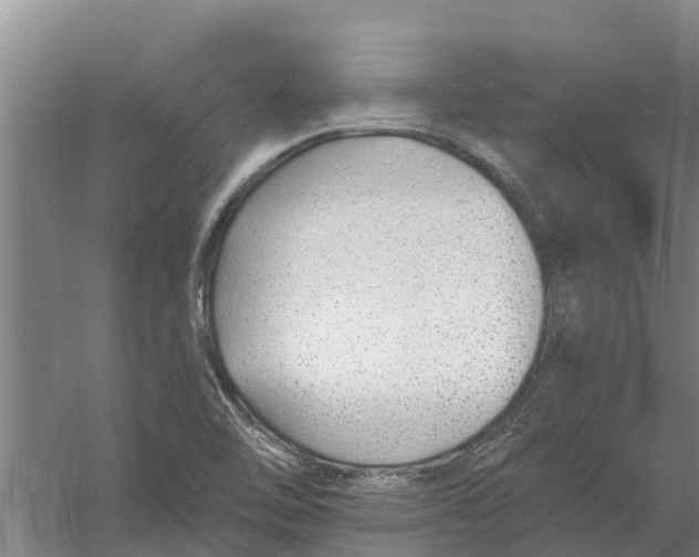 X0000056361462200509232119