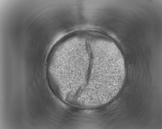 X0000056361463200509232119