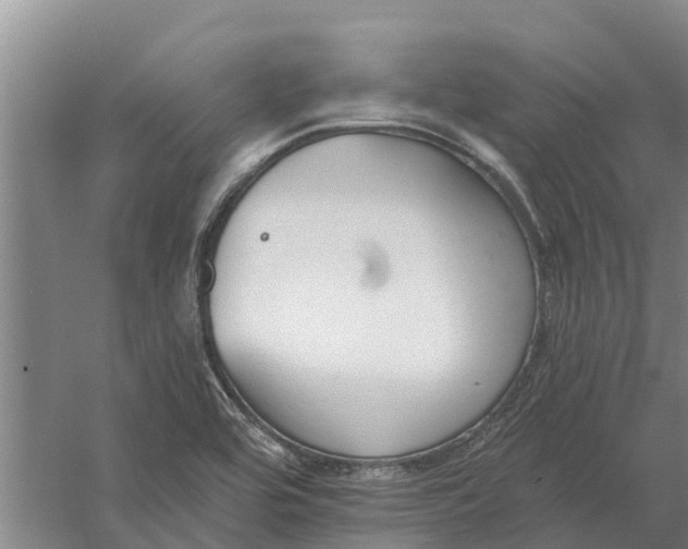 X0000056361464200509232119