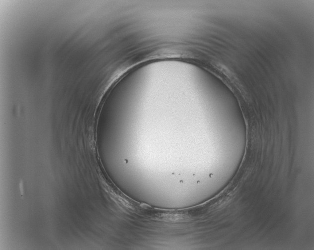 X0000056361465200509232119