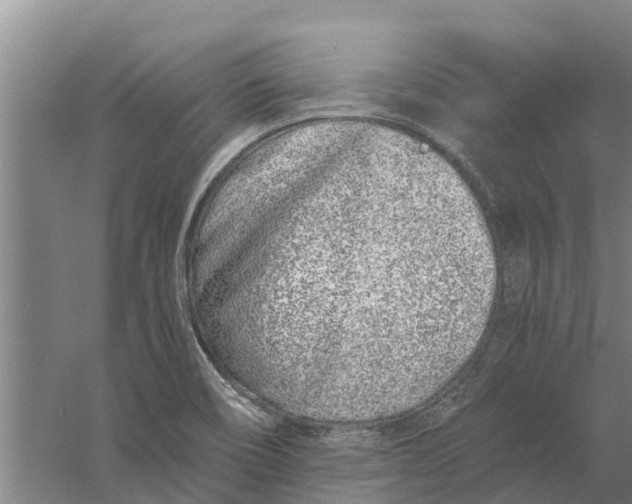 X0000056361466200509232119